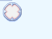btn_socketb2.png